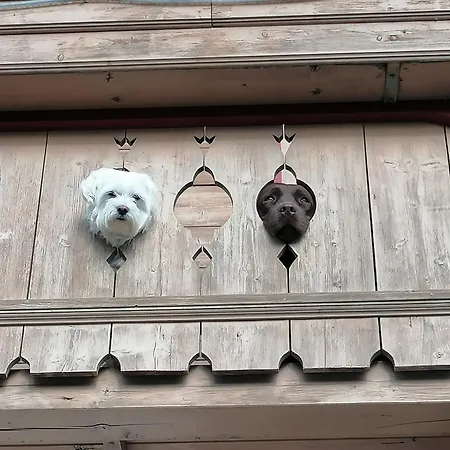 Apartment In Near Slopes *