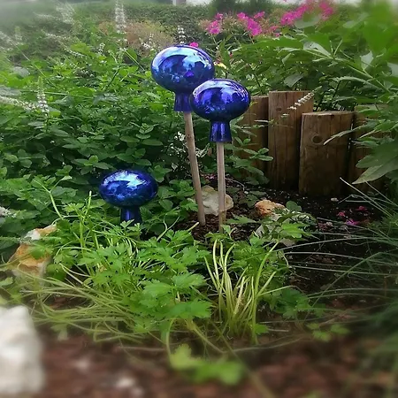 아파트 In Near Slopes *