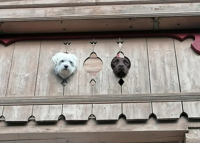 아파트 In Near Slopes *